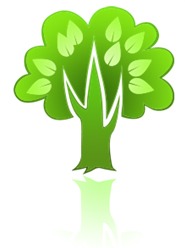 Small Tree Removal in Concord and Walnut Creek