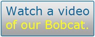 Bobcat Video