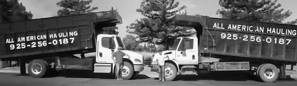 Appliance Removal — landscape