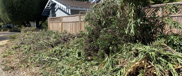 Brush Removal San Ramon CA