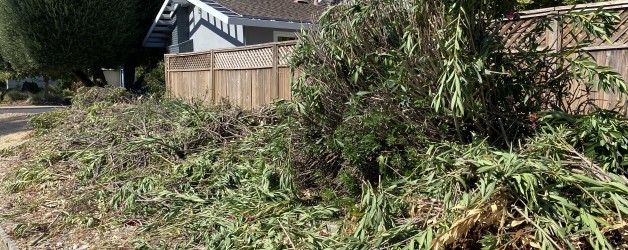 Brush Removal San Ramon CA