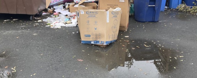 Junk Removal Berkeley Ca