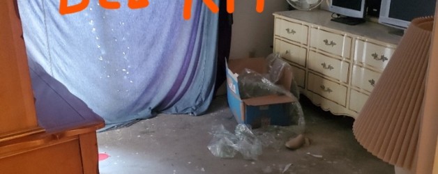 Junk Removal Walnut Creek Ca.