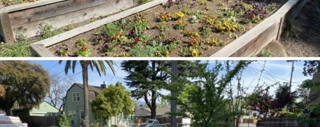 Junk Removal Lafayette Ca